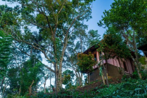 The Woods - Birding, Farming & Eco Living